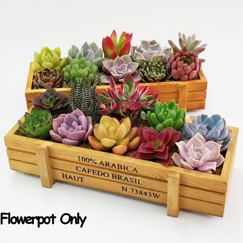 Gardening Tools Green - 1 pc ferramentas decoração do jardim