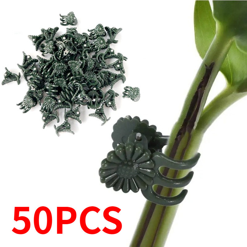 50 Peças de Clipes para Planta - Gardening Tools Green avaliação e preço