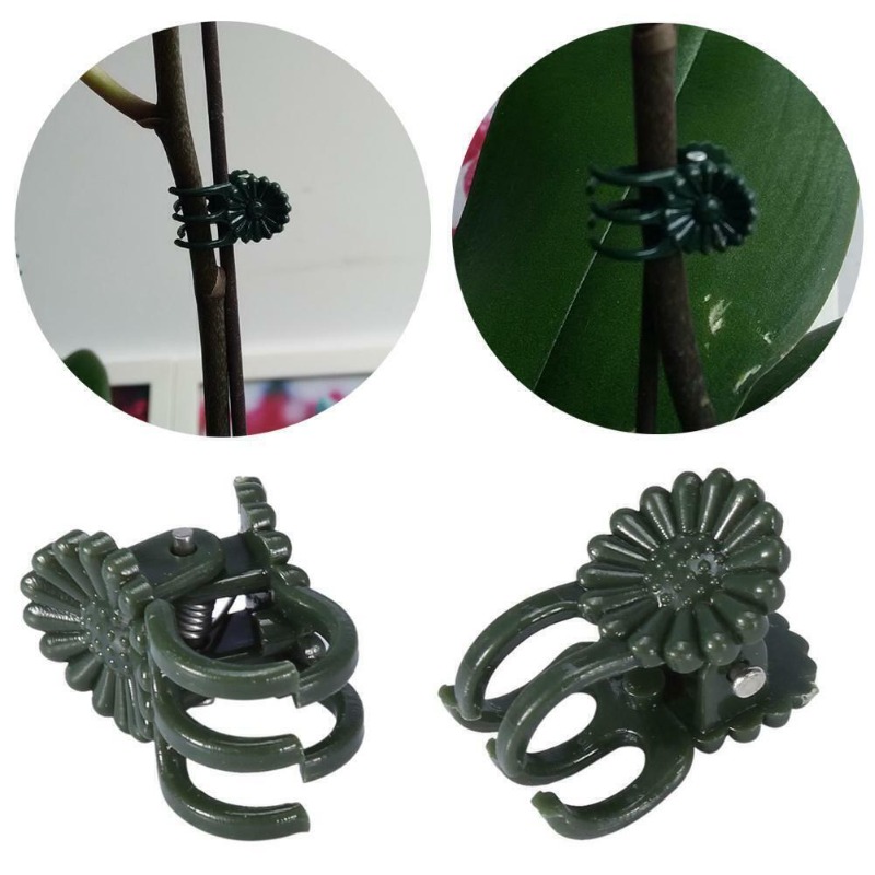 50 Peças de Clipes para Planta - Gardening Tools Green avaliação e preço