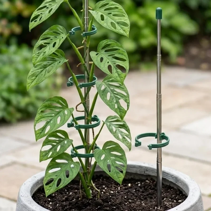 5/1 PEÇAS Anel de Suporte Retr - Gardening Tools Green avaliação e preço