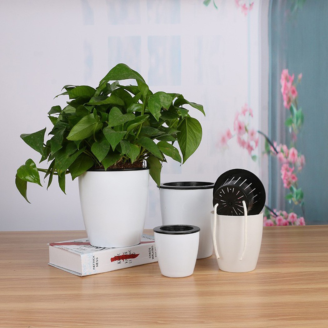 Vaso Automático de Plantas de  - Gardening Tools Green avaliação e preço