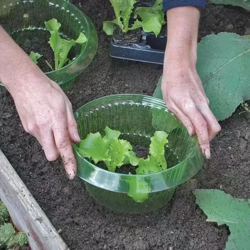 Plantas slug proteção anéis le - Gardening Tools Green avaliação e preço